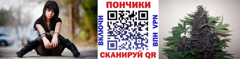 Названия наркотиков Белый Псилоцибиновые грибы  МАРИХУАНА  Меф мяу мяу  АМФЕТАМИН  Гашиш  Альфа ПВП  COCAIN 