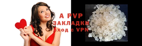 индика Белоозёрский