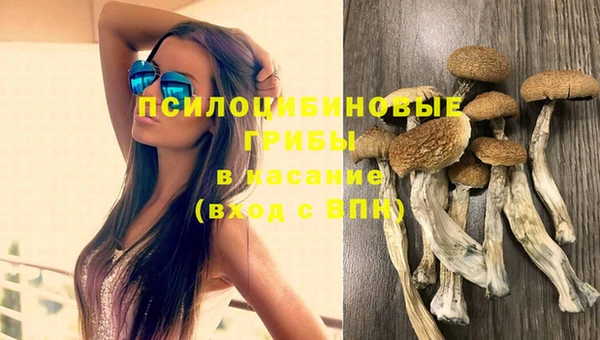 каннабис Баксан