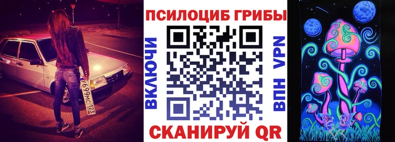 где купить наркоту  Белый  Псилоцибиновые грибы MAGIC MUSHROOMS 